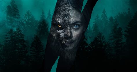Viking Wolf: Everything You Need to Know About the Norwegian .